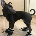 thumbnail image 3 of SSBSM 4Pcs/Set Pet Dog Puppy Non-Slip Soft Shoes Covers Rain Boots Footwear - for Home Protection, 3 of 8
