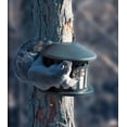 thumbnail image 3 of Comedero para animales de Heritage Farms Woodlink Squirrel Diner, 1,8 kg, 3 of 5