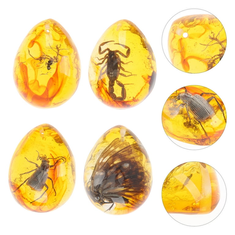4pcs Insect Specimen Amber Resin Insects Amber Resin Crafts Decorative Bug Amber (Random Style)