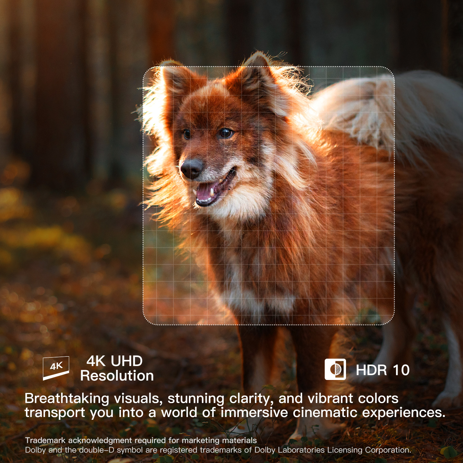 FPD 50" 4K UHD Smart TV with Google TV photo 2