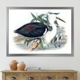 thumbnail image 3 of Designart 'Ancient Birds Of Australia' Traditional Framed Art Print, 3 of 4