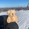 thumbnail image 6 of Hbdhejl Plush Toys Gift For Boys Girls Handmade Bear Small Animal Pocket Cuddle Plush Toy Box Presents Exquisite Cards Small Cute, 6 of 7