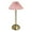 Y 2, variant on HBASD Cordless Table Lamp Rechargeable Desk Lamp For Bedroom Study Daily Lighting Supplies (Light Brown）