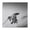 Unframe-style, variant on Robert Mapplethorpe Lily Canvas Famous Paintings, Wall Art Posters, Decorative Hanging Pictures Artworks Canvas Poster Room Aesthetic Wall Art Prints Home Modern Decor Gifts 20x20inch(50x50cm)