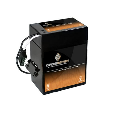 Chrome Battery S00019-00000 6V 13AH Sealed Lead Acid Battery - NT1 Terminals - for ZB-6-13