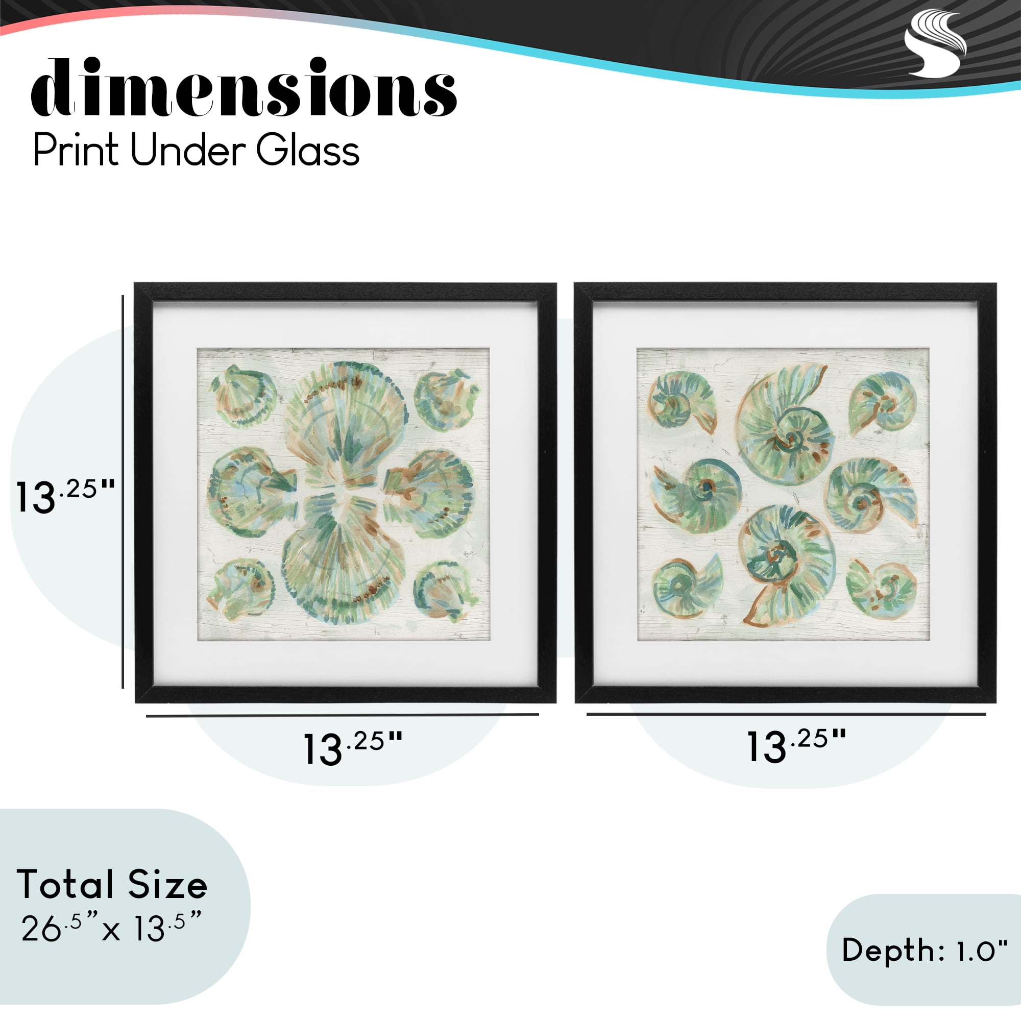 Stupell Industries Saltwashed Seashells Pattern 2 Piece Black Framed Print Under Glass Set, design by June Erica Vess