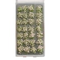 thumbnail image 1 of 1 caja realista modelo en miniatura decoración de paisaje de diseño de jardín de ferrocarril rosado Sunnimix micro hojas de paisaje, 1 of 8