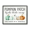 thumbnail image 2 of Stupell Industries Pumpkin Patch Farmhouse Sign Autumn Orange Green Gourds, 20 x 16, Design by Lettered and Lined, 2 of 5