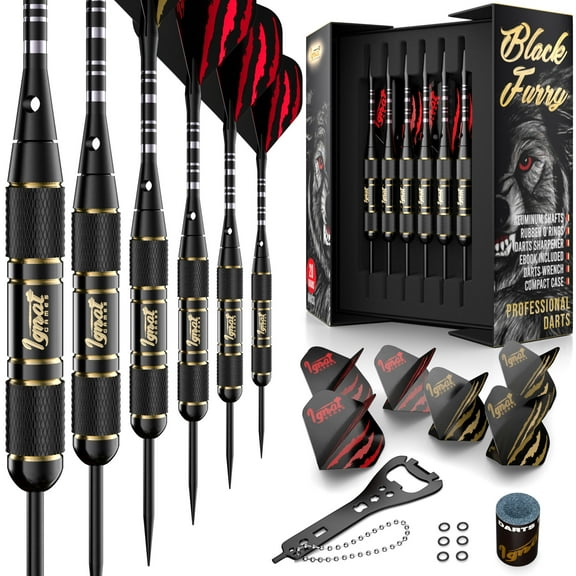 Ignat Games 20g Darts Metal Tip Set 6 Professional Darts with Stylish Case