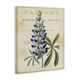 thumbnail image 2 of Stupell Industries Cottage Natural Botany Lupine Canvas Art, 16 x 20, by Susan Arnot, 2 of 8
