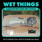 DUDE Flushable Wipes, Extra Large Mint Chill Wet Wipes, 48 Count, 3 Pack (144 Total)