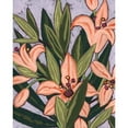 thumbnail image 3 of Vess, June Erica 20x24 Black Modern Framed Museum Art Print Titled - Island Lily I, 3 of 5