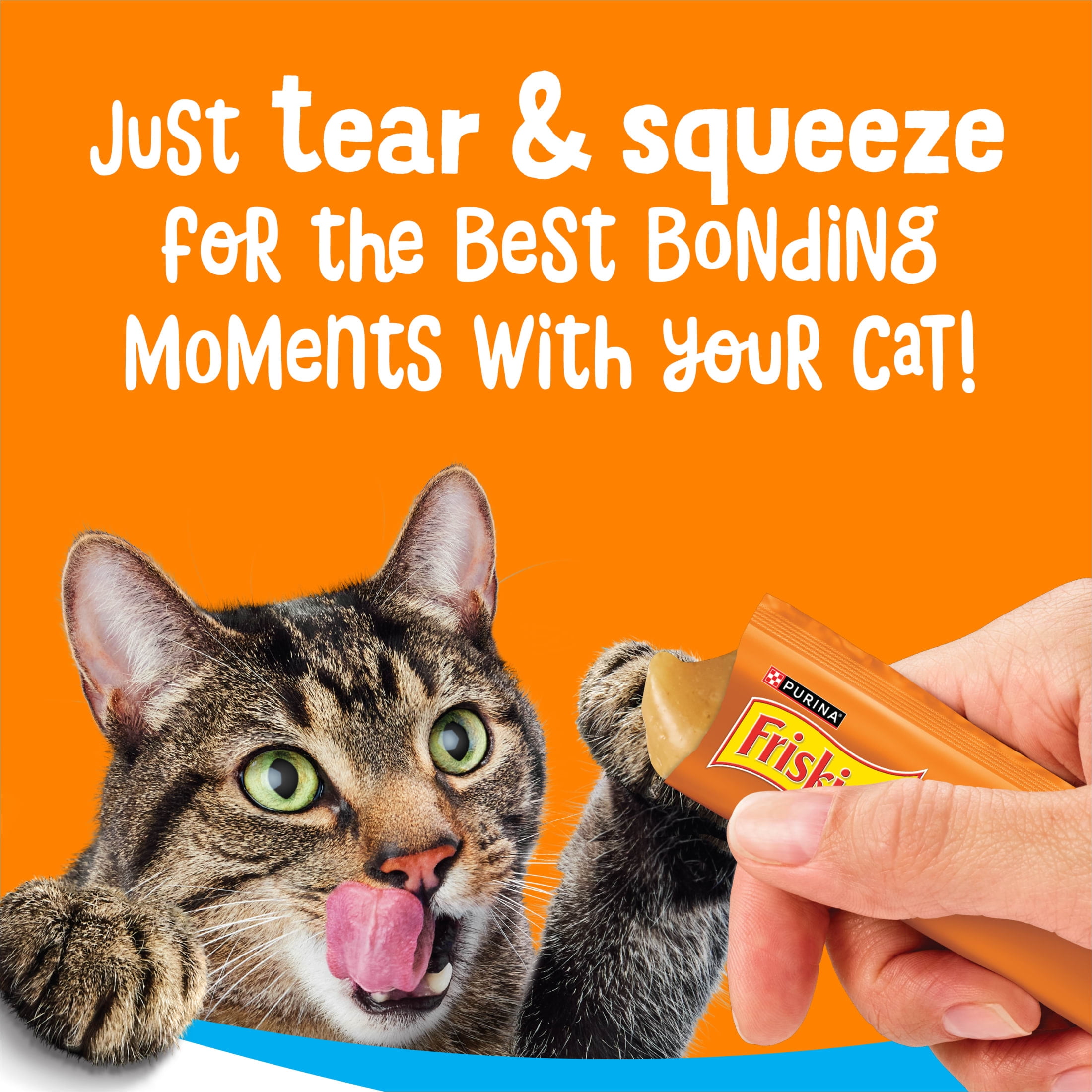 Purina Friskies lil’ Lickables With Chicken Lickable Cat Treats, 2 oz.