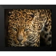 thumbnail image 2 of Ronin 18x15 Black Modern Framed Museum Art Print Titled - The Jaguar III, 2 of 5