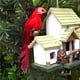 thumbnail image 4 of Toystoory Simulación hecha a mano loro jardín decoración pluma césped espuma estatuilla ornamento Animal pájaro cerca pájaro Prop Decoración Decoración del hogar No.1 Toystoory HA024215-01, 4 of 5