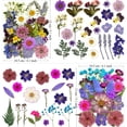 thumbnail image 6 of 91Pcs Purple Pressed Dried Flowers for Resin Molds, Assorted Real Natural Bulk Dry Floral Leaves for DIY Art Crafts, Epoxy Jewelry, Candle, Soap Making, Nails Decors Gifts, 6 of 11