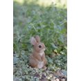 thumbnail image 1 of Bunny Statue Easter Decor Standing Rabbit Garden Statue,Garden Decoration, Home Decor, Indoor/Outdoor, 1 of 5