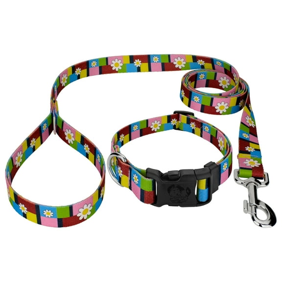 Country Brook Petz® Spring Everyday Deluxe Dog Collar and Leash, Extra Large