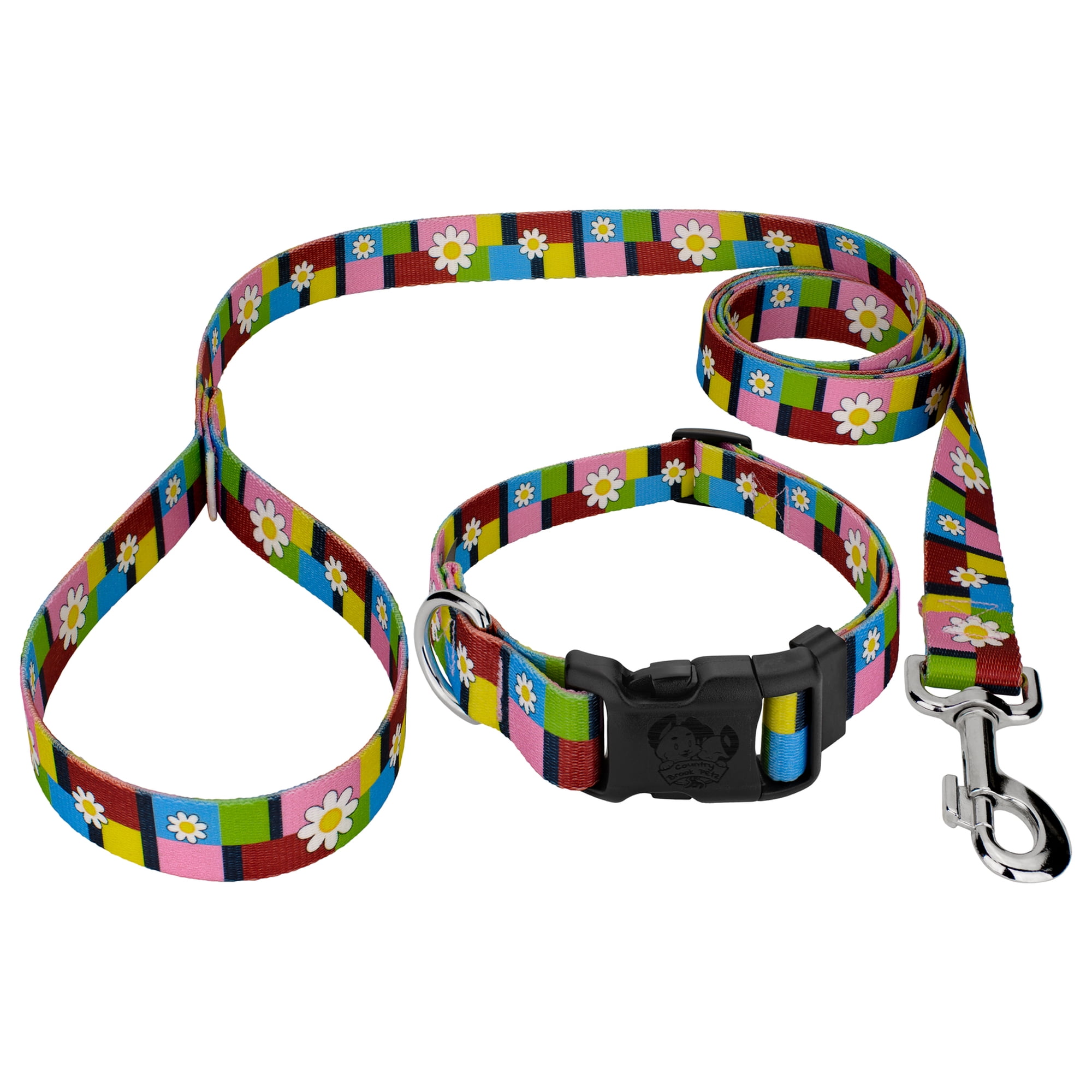 Country Brook Petz® Spring Daisies Everyday Dog Collar and Leash, Extra Large