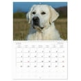 thumbnail image 6 of Luck has a name - Golden Retriever (Monthly Wall Calendar 2026 11.7 x 16.5 (open)), CALVENDO 14 Month Calendar, 6 of 9