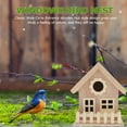 thumbnail image 4 of Creative Wooden Bird Nest with Entrance, Outdoor Garden Bird House, Birds Bed Hut, Decorative Graffiti Design, Bird Supplies, 4 of 7
