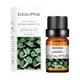 thumbnail image 1 of Aromatherapy Water-soluble Oil Aromatherapy Suitable For Humidifier 10ml Buy 2 Save 10%, 1 of 2