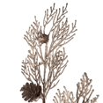 thumbnail image 4 of Vickerman Glitter Pine Cone Artificial Spray Christmas-Decor, 36", Yellow, 3 Piece, 4 of 12