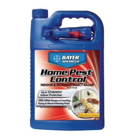 Bayer Advanced Home Pest Control Indoor and Outdoor Insect (Best Bug Bomb For Spiders)