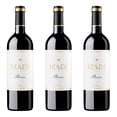 thumbnail image 1 of Paquete 3 Botellas Vino Tinto Izadi Rioja Reserva 2009 750 ml, 1 of 2