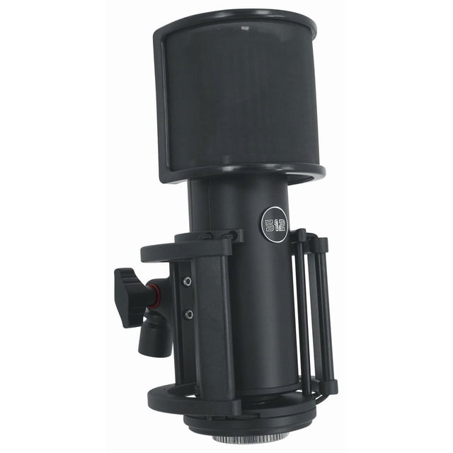 Tragaluz con micrófono XLR de condensador para estudio, 512, audio y accesorios