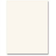 Sparco Premium-Grade Color Copy Paper -8 1/2" x 11" - 20 lb Basis Weight - 500 / Ream - Ivory