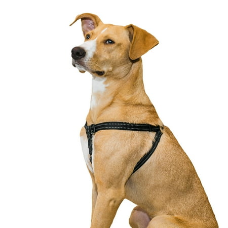 UPC: 0729849167063 | Premier Pet No Pull Step-in Harness for Medium Dogs – Best for Dogs 30-70 lb.