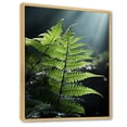 thumbnail image 2 of Designart "Ferns' Wonderland In The Green World VIII" Ferns Floater Framed Wall Art Prints, 2 of 5