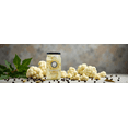 thumbnail image 4 of Eastern Feast - Cauliflower In Brine 28 fl oz (825 G), 4 of 5