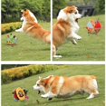 thumbnail image 3 of 1pc Color Random Pet Sounding Cloth Ball Toy For Dog Molar Toy Puppy Dog Interactive Toy, 3 of 4