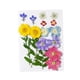 thumbnail image 2 of Flores secas prensadas Macarena manualidades DIY, 2 of 8
