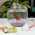 thumbnail image 2 of Aqua Culture Glass Fish Bowl with Starter Kit, 1 Gallon, 2 of 8