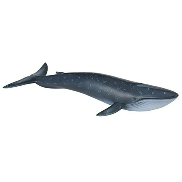 CollectA Sea Life Blue Whale Toy Figure - Authentic Hand Painted Model