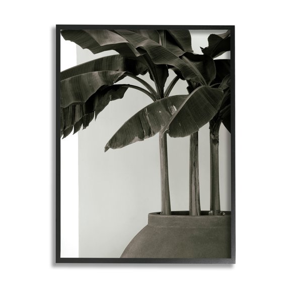 Stupell Industries Modern Tropical Palm Monochromatic Cement Planter, 24 x 30, Design by George Cannon