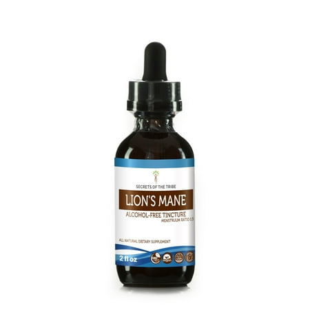 Lion's Mane Tincture Alcohol-FREE Extract, Organic Lion's Mane (Hericium erinaceus) Dried Mushroom 2