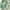 Green, variant on GRACE & GRANDEUR Women's Plus Size Short Sleeves Square Neck Smocked Boho Floral Maxi Dresses 1X Yellow