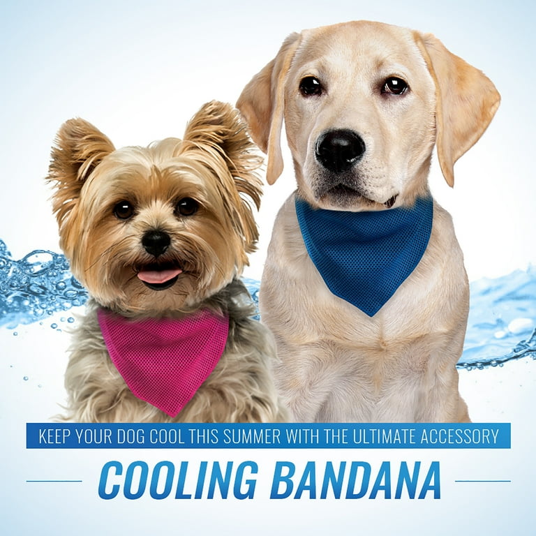 FOUFIT Cooling Bandana Grey - Medium/Large (20.5L X 3.25W) (3) -  Walmart.com