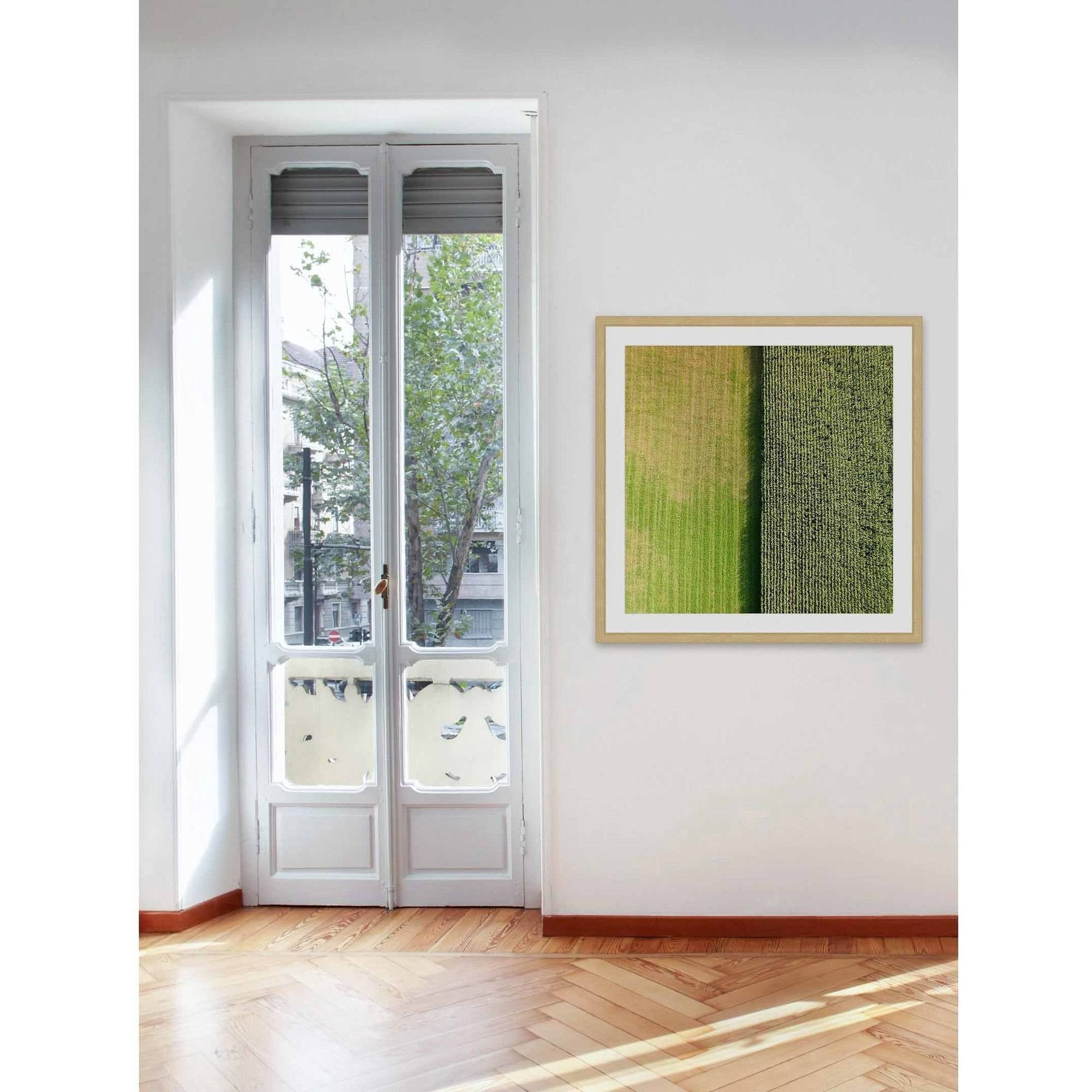 Marmont Hill "Green Rows" by Karolis Janulis Framed Painting Print