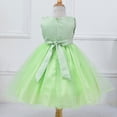 thumbnail image 2 of Gyratedream 3-10Y Little Baby Girls Lace Tulle Wedding Birthday Party Grown Princess Dress, 2 of 6