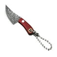 thumbnail image 3 of EDHITNR Mini Pocket Knife Keychain, Forged Vanadium Alloy Steel Portable Keychain Knife, Multipurpose Mini Chef Knife for Fruit Cutting Camping Outdoor EDC Accessory, 3 of 4