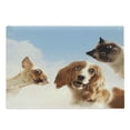 thumbnail image 1 of Funny Cutting Board, Cat and Dogs Domestic Home Pets Friends Hilarious Expressions Sky Clouds Collage, Decorative Tempered Glass Cutting and Serving Board, Large Size, Multicolor, by Ambesonne, 1 of 1