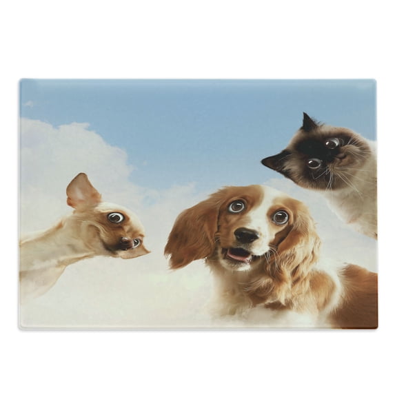 Funny Cutting Board, Cat and Dogs Domestic Home Pets Friends Hilarious Expressions Sky Clouds Collage, Decorative Tempered Glass Cutting and Serving Board, Large Size, Multicolor, by Ambesonne