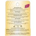 thumbnail image 2 of Burt's Bees 100% Natural Origin Moisturizing Lip Balm, Watermelon -, 2 of 5