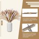 thumbnail image 3 of Decoración de Hierba de Pampas Secas Naturales, Colas de Conejo de Hierba Natural de la Pampa, Decoraciones de Hierba de Pampa Seca, Ramo de Hierba Carrizo para Sala de Estar, Cocina, Boda, Fiestas, 3 of 4