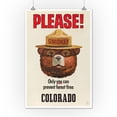 thumbnail image 2 of Colorado, Smokey Bear, Only You Can Prevent Forest Fires, Vintage Poster (12x18 Wall Art Poster, Room Decor), 2 of 3